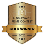 gold award